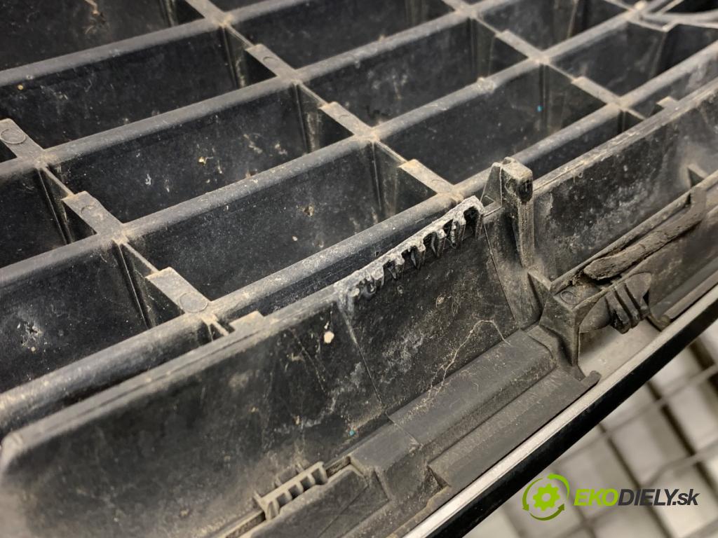 AUDI A4 B6 (8E2) 2000 - 2005    2.5 TDI quattro 132 kW [180 KM] olej napędowy 2000 - 2004  mřížka maska  (Mřížky (masky) chladičů)