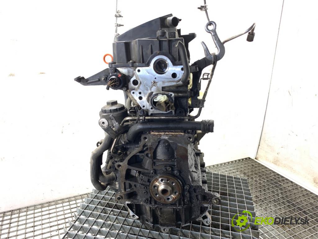 VW PASSAT B6 Variant (3C5) 2005 - 2011    1.9 TDI 77 kW [105 KM] olej napędowy 2005 - 2010  motor BLS (Motor)