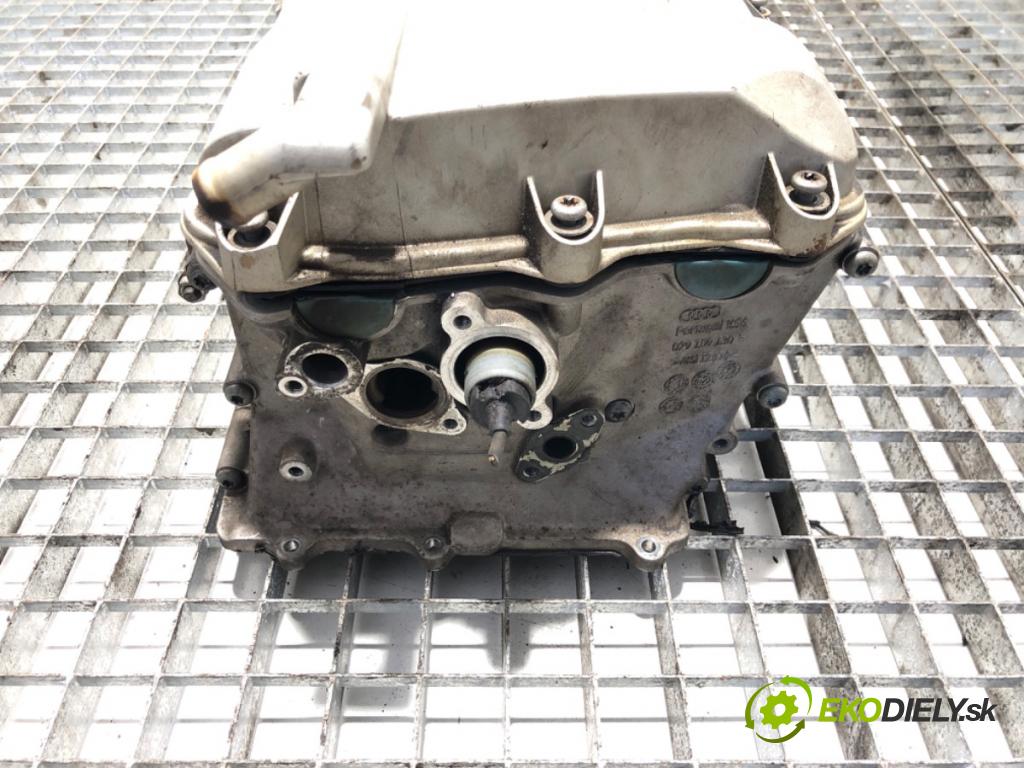 AUDI A6 C6 (4F2) 2004 - 2011    4.2 quattro 246 kW [335 KM] benzyna 2004 - 2006  Hlava valcov  (Hlava valcov)