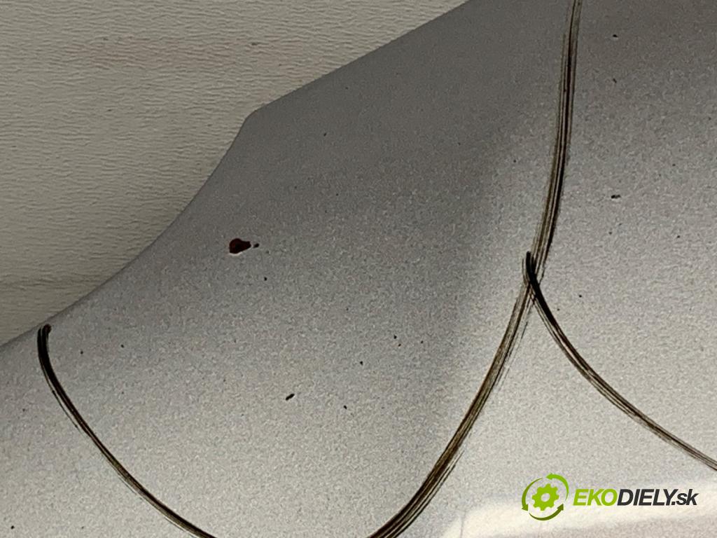 VW PASSAT B5.5 Variant (3B6) 2000 - 2005    1.9 TDI 96 kW [130 KM] olej napędowy 2000 - 2005  kapota  (Kapoty)