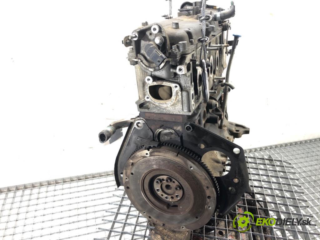 FIAT GRANDE PUNTO liftback 2008 57 kW 1.4 (199AXB11, 199AXB1A, 199BXB1A, 199AXL1A) 1368 Motor 350A1000 (Motor)