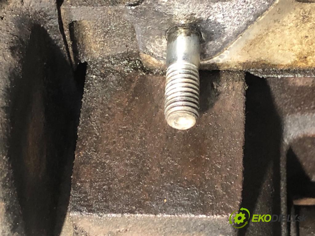 FIAT GRANDE PUNTO liftback 2008 57 kW 1.4 (199AXB11, 199AXB1A, 199BXB1A, 199AXL1A) 1368 motor 350A1000 (Motor)