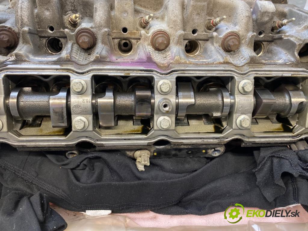 RENAULT MEGANE III Kombi 2009 96 kW 1.9 dCi (KZ0J, KZ0N, KZ1S) 1870 Motor F9Q (Motor)