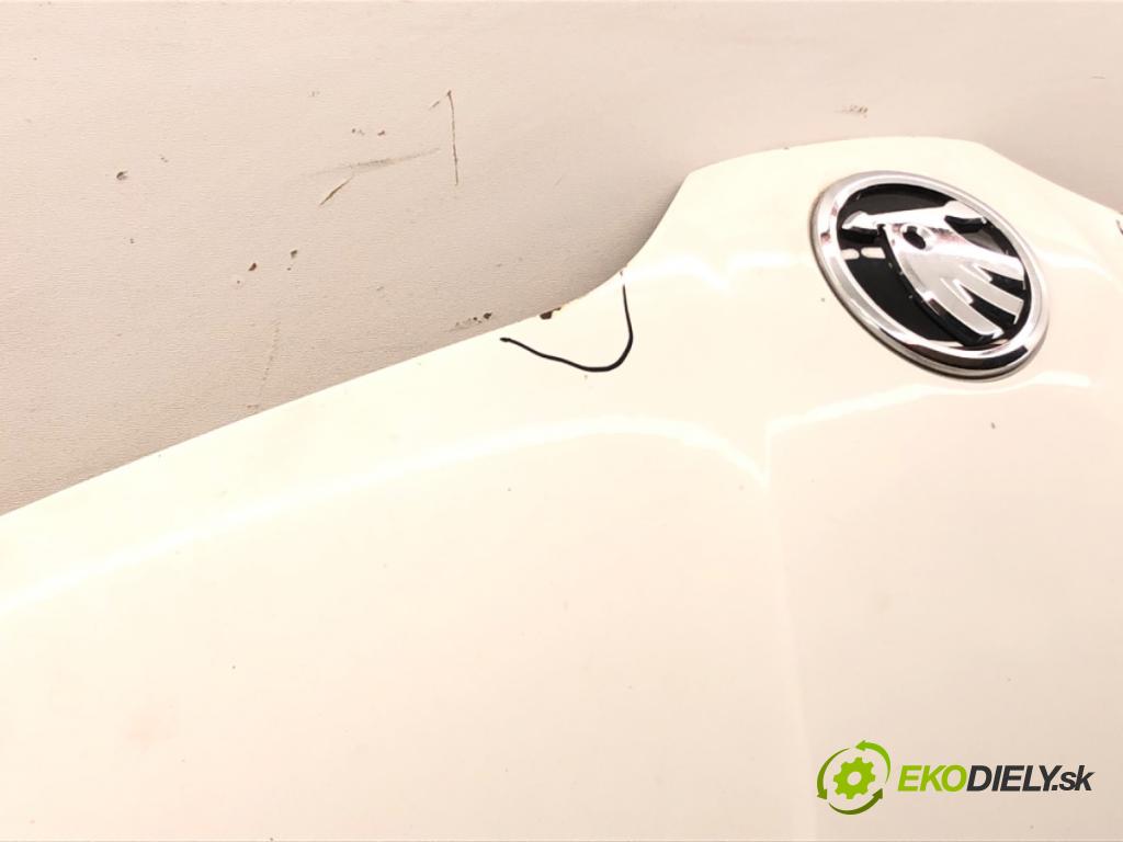 SKODA FABIA III liftback 2018 70 kW 1.0 TSI 999 Kapota  (Kapota)