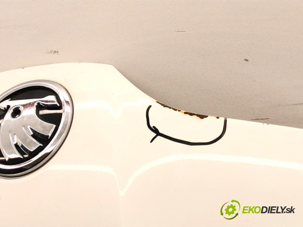SKODA FABIA III liftback 2018 70 kW 1.0 TSI 999 Kapota  (Kapota)