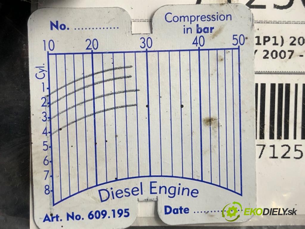 SEAT LEON II liftback 2009 66 kW 1.9 TDI 1896 Motor BXF (Motor)