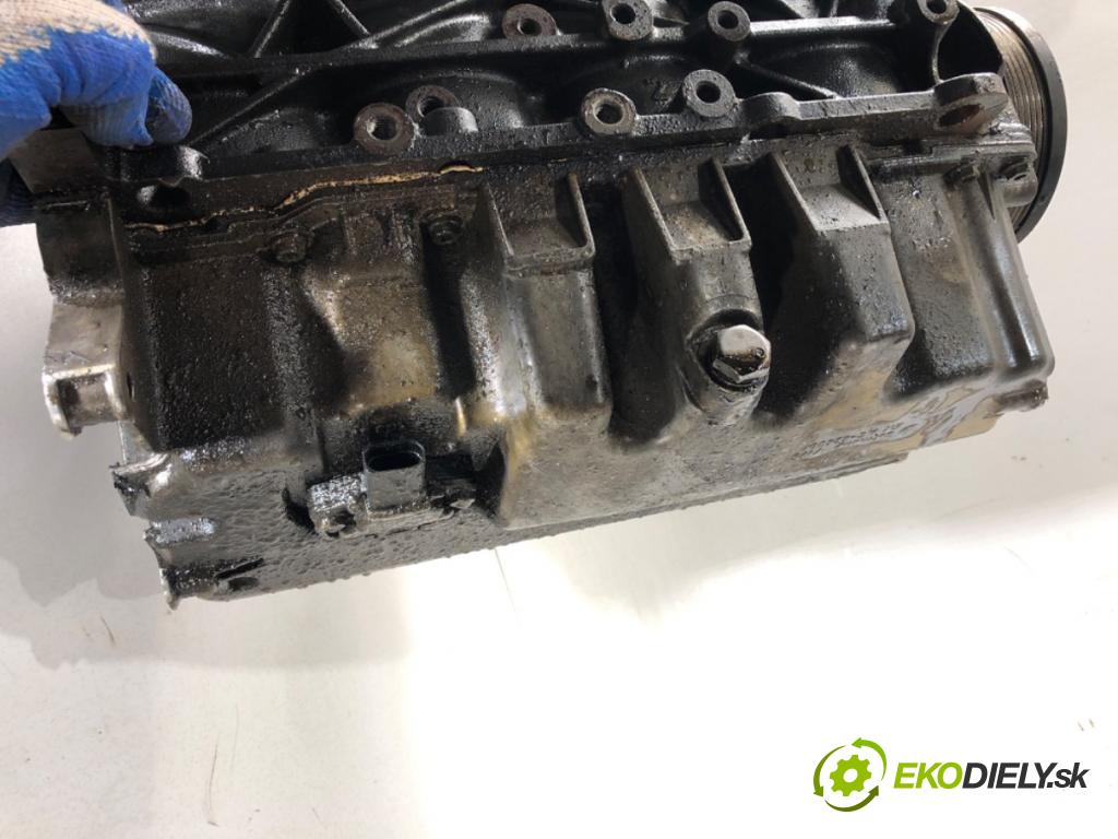 VW TOURAN nadwozie wielkoprzestrzenne (MPV) 2006 125 kW 2.0 TDI 1968 motor BMN (Motor)