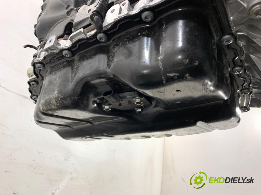 SKODA 2.0 TSI  2024 195 kW 2.0 TSI 195 kW [265 KM] benzyna 2023 - 1984 Motor DNP (Motor)