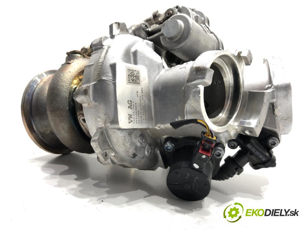 SKODA 2.0 TSI  2024 195 kW 2.0 TSI 195 kW [265 KM] benzyna 2023 - 1984 turbo 06Q145702C (Turbodúchadla (kompletní))