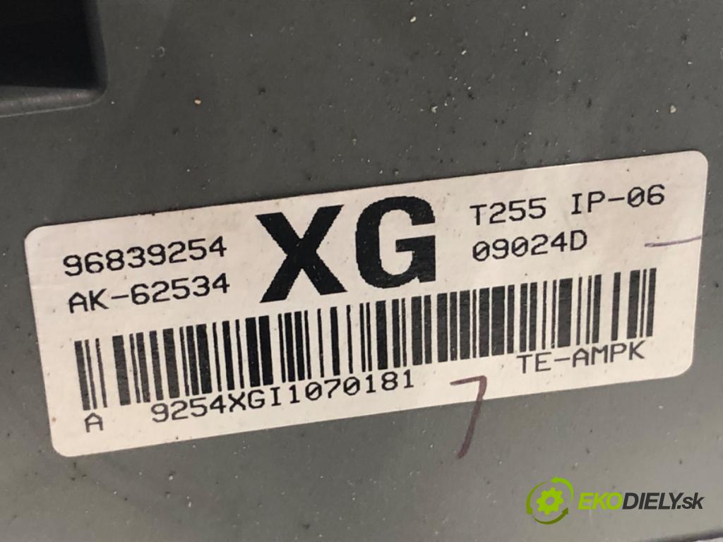 CHEVROLET AVEO II liftback 2009 62 kW 1.2 1206 modul BSI 96839254 (Pojistkové skříňky)