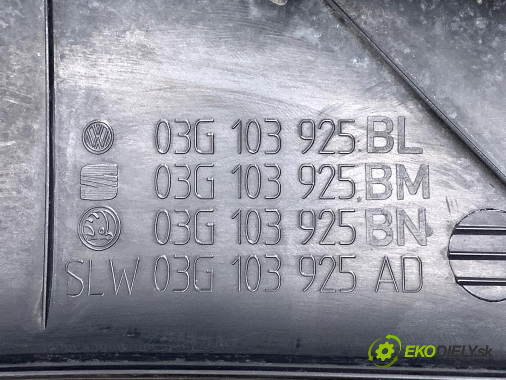 VW PASSAT B6 sedan 2005 77 kW 1.9 TDI 1896 Kryt Motor 03G103925BL (Kryt motora)