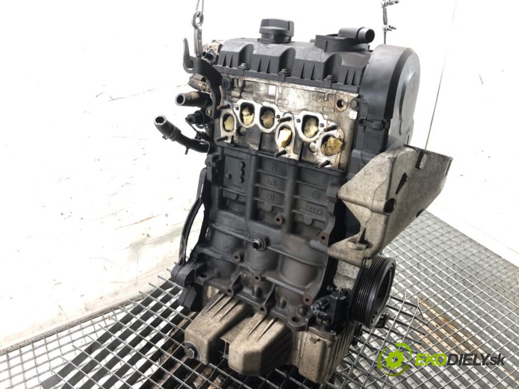 VW POLO IV 9N liftback 2008 51 kW 1.4 TDI 1422 motor BNM (Motor)