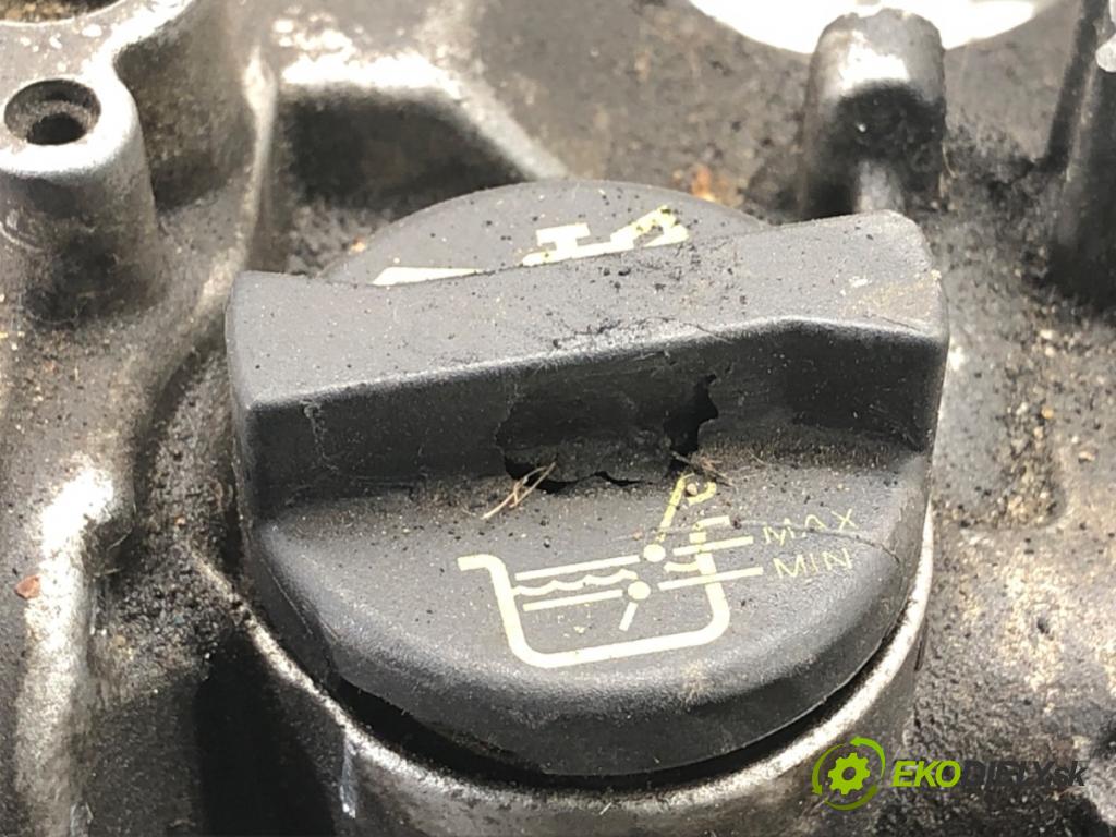 FIAT GRANDE PUNTO liftback 2006 57 kW 1.4 (199AXB11, 199AXB1A, 199BXB1A, 199AXL1A) 1368 hlava válců 350A1000 (Hlavy válců)