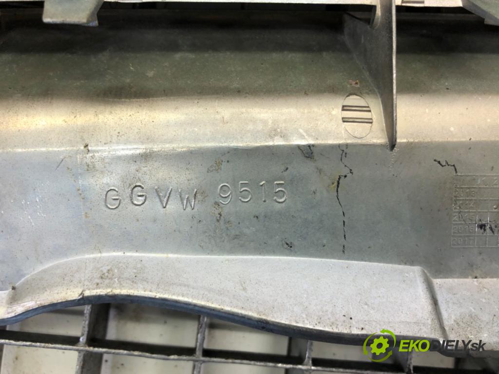 VW PASSAT B5 FL Kombi 2002 74 kW 1.9 TDI 1896 Mriežka maska  (Mriežka predná (maska chladiča))