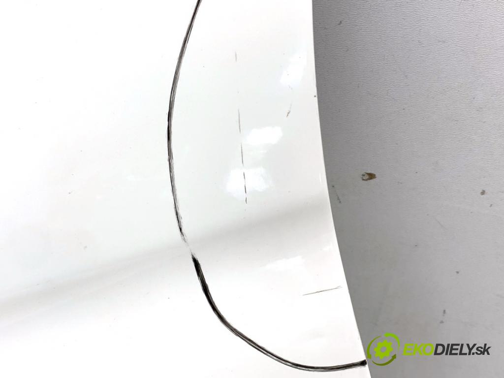 FIAT 500 liftback 2013 51 kW 1.2 (312AXA1A) 1242 blatník levý přední část 268