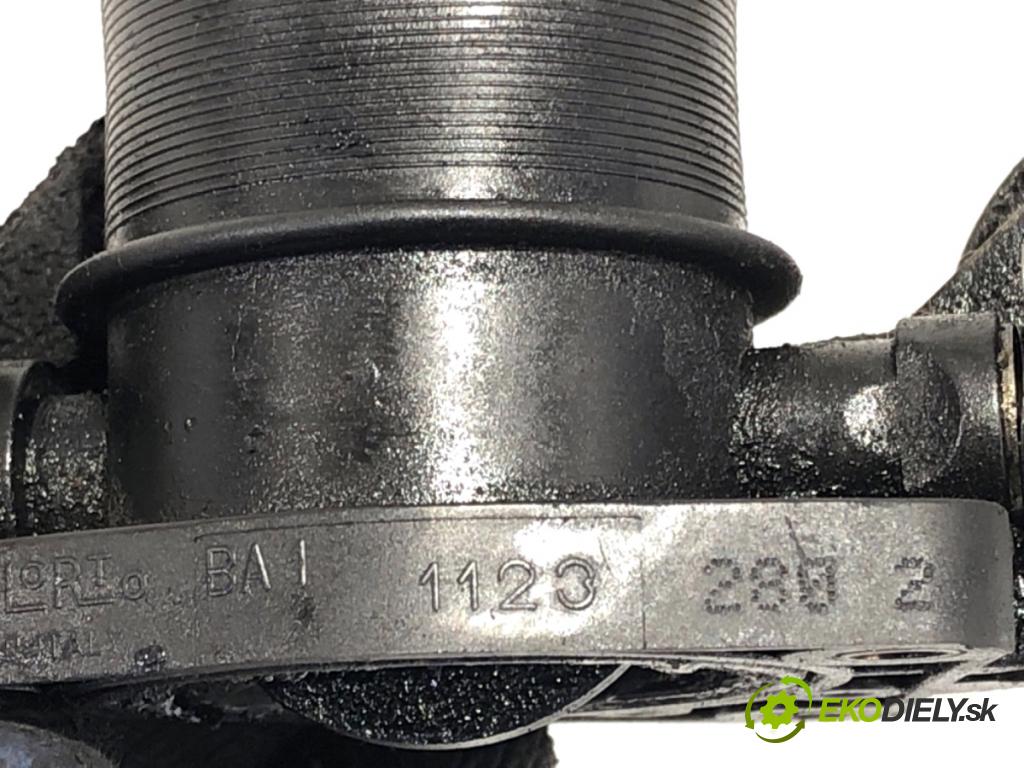 RENAULT ESPACE IV nadwozie wielkoprzestrzenne (MPV) 2002 88 kW 1.9 dCi (JK0U, JK0G) 1870 Škrtiaca klapka BA11123 (Škrtiaca klapka)