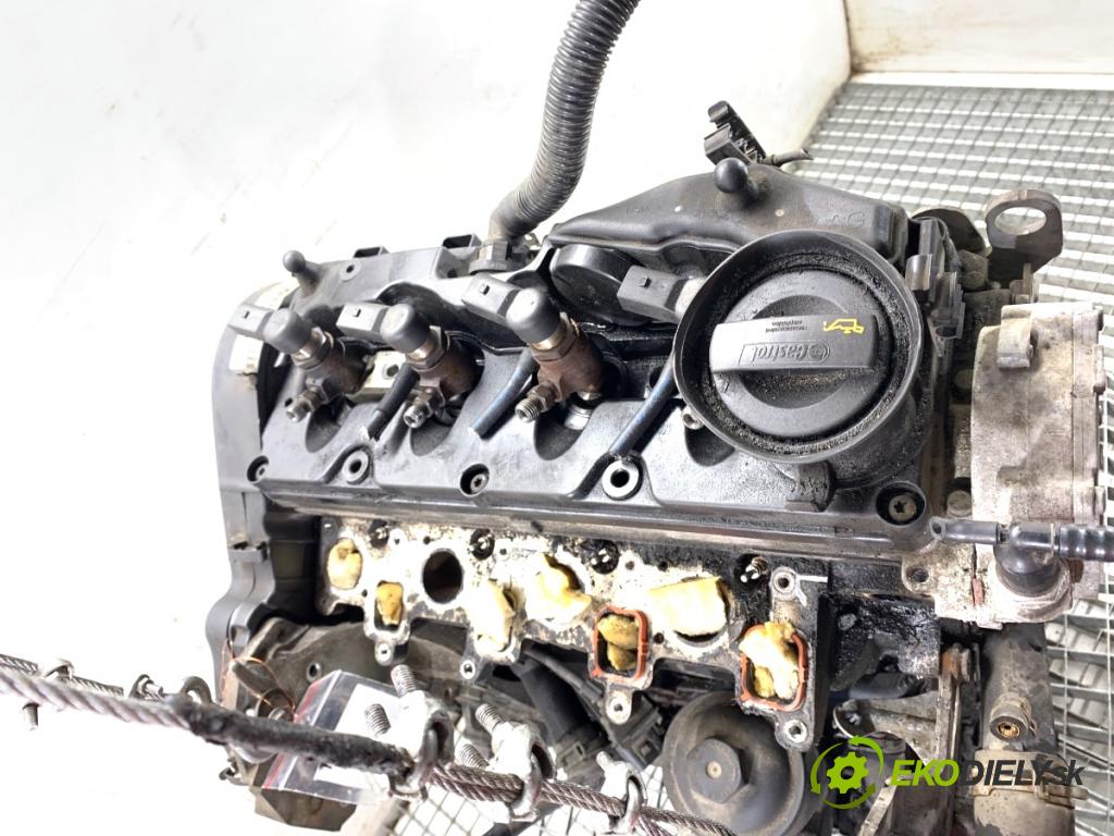 VW PASSAT B6 Kombi 2010 77 kW 1.6 TDI 1598 Motor CAY (Motor)