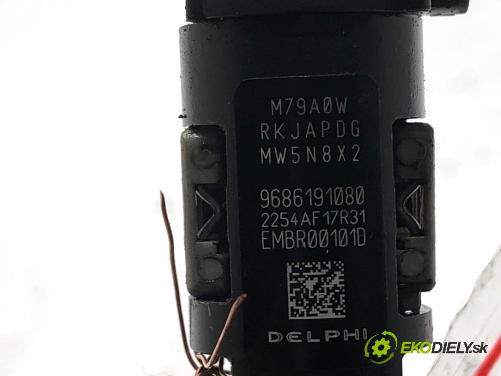 FORD KUGA I SUV 2012 100 kW 2.0 TDCi 1997 vstrekovač 9686191080 (Vstrekovač paliva)