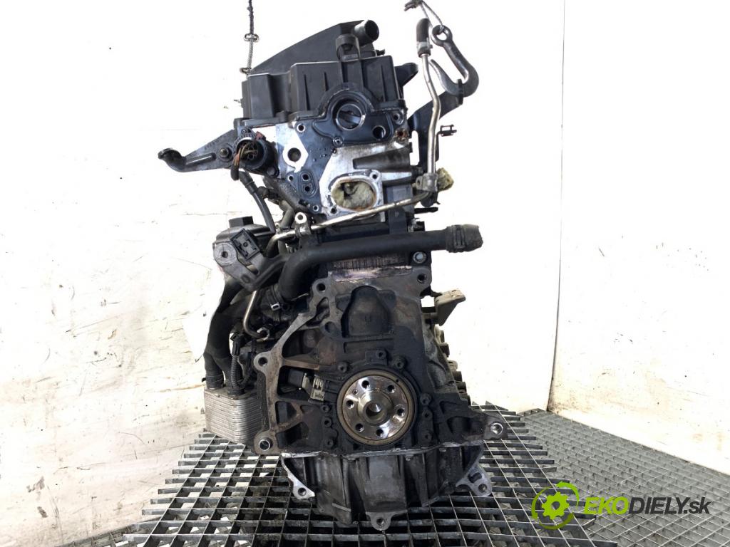 VW PASSAT B6 sedan 2007 103 kW 2.0 TDI 1968 Motor BMP (Motor)
