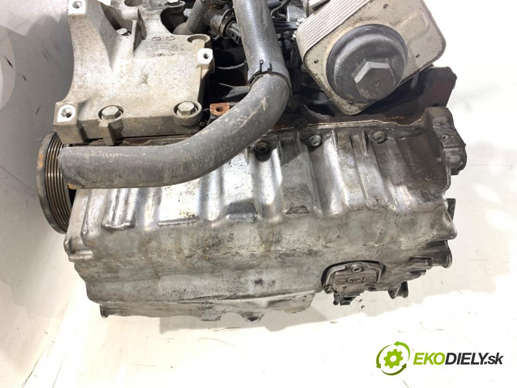 VW PASSAT B6 sedan 2007 103 kW 2.0 TDI 1968 Motor BMP (Motor)