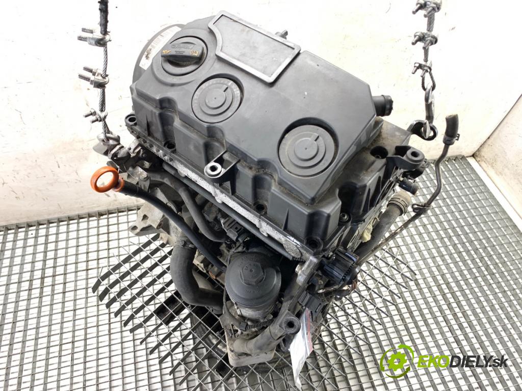 VW PASSAT B6 sedan 2007 103 kW 2.0 TDI 1968 Motor BMP (Motor)