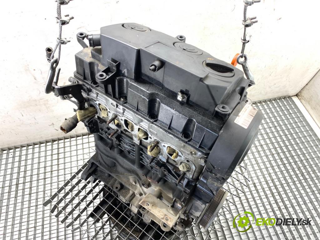 VW PASSAT B6 sedan 2007 103 kW 2.0 TDI 1968 Motor BMP (Motor)