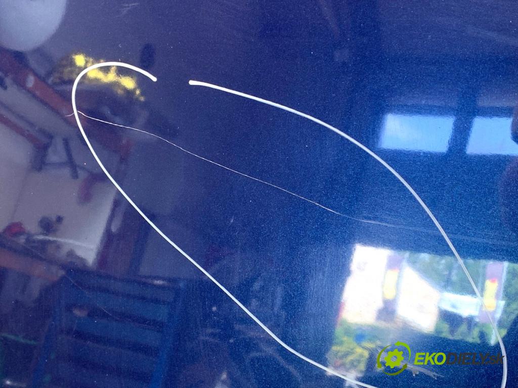 VW POLO V liftback 2011 66 kW 1.6 TDI 1598 kapota  (Kapoty)