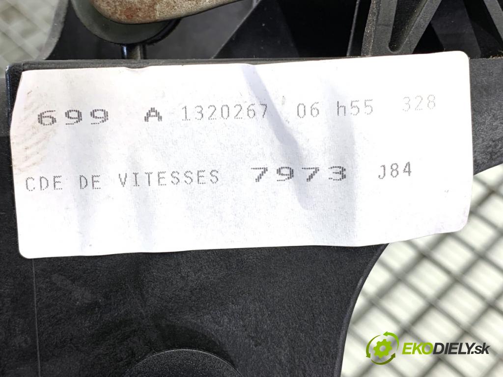 RENAULT SCÉNIC II nadwozie wielkoprzestrzenne (MPV) 2006 78 kW 1.5 dCi (JM1E, JM16) 1461 Kulisa  (Rýchlostná páka (kulisa))