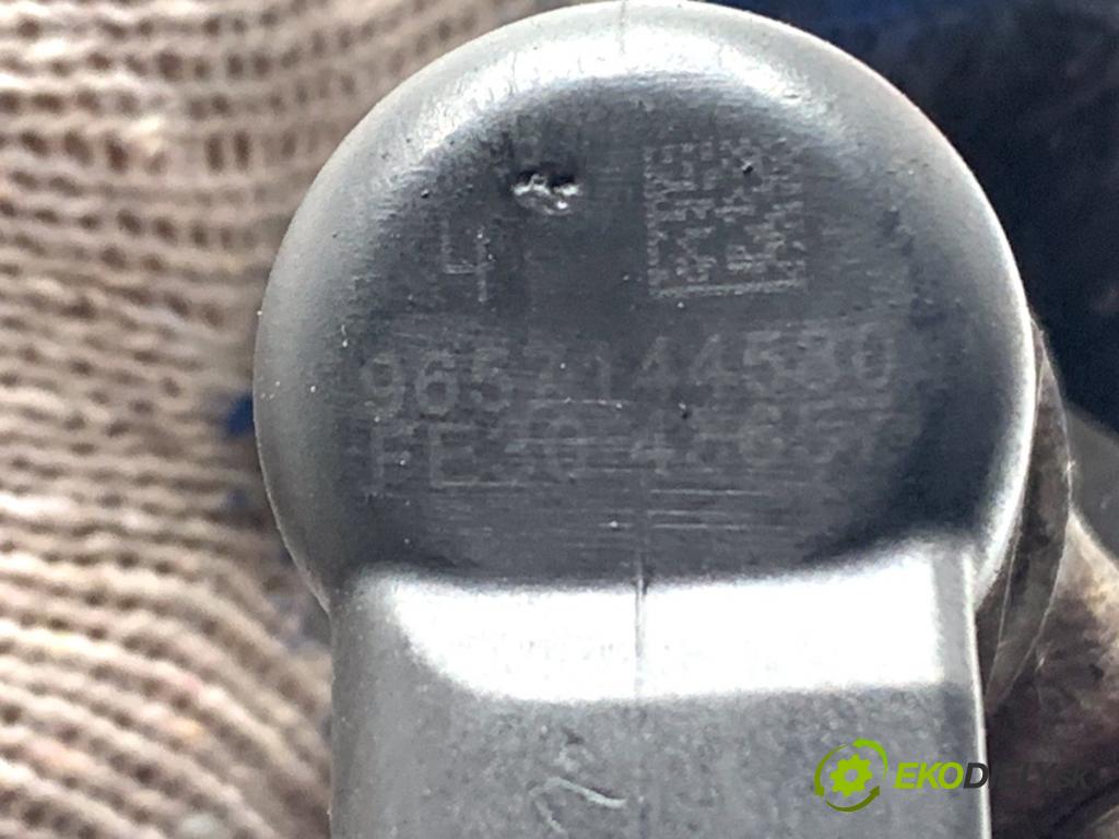 PEUGEOT 407 SW Kombi 2006 100 kW 2.0 HDi 135 1997 Vstrekovacie ventily 9657144580