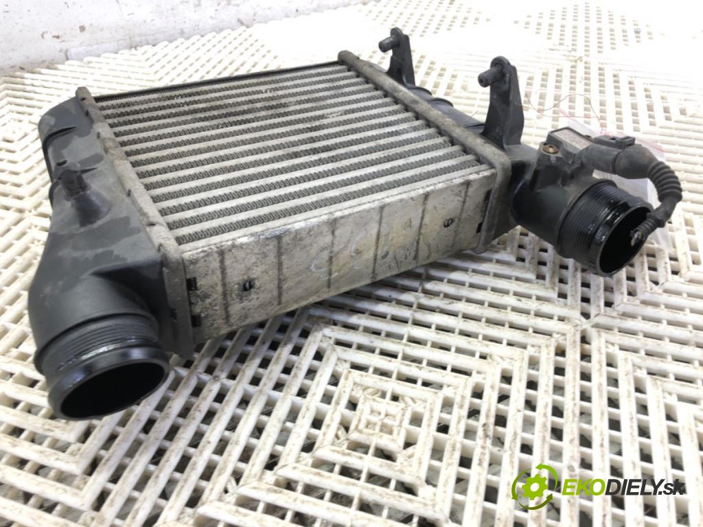 SEAT EXEO sedan 2009 105 kW 2.0 TDI 1968 intercooler levý 8E0145805AA (Chladiče nasávaného vzduchu (intercoolery))