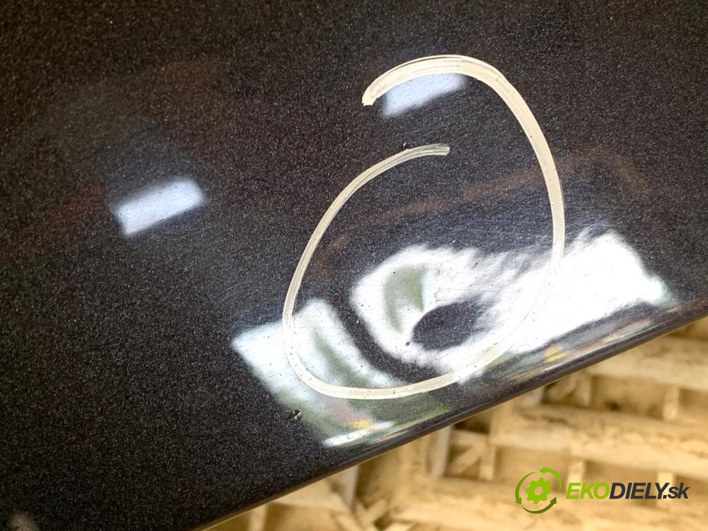 SEAT ALTEA nadwozie wielkoprzestrzenne (MPV) 2007 75 kW 1.6 LPG 1595 Blatník pravy predný