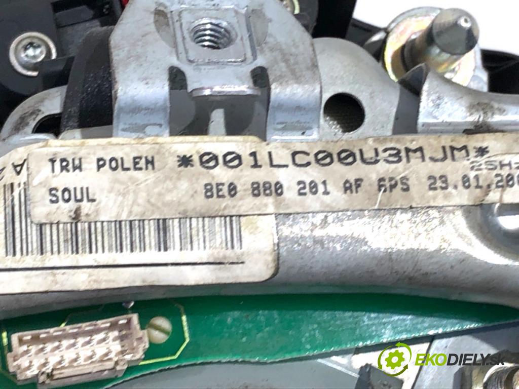AUDI A4 B6 sedan 2001 96 kW 2.0 1984 AirBag volantu 8E0880201AF (Airbag)