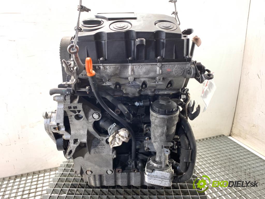 VW PASSAT B6 Kombi 2008 77 kW 1.9 TDI 1896 Motor BLS (Motor)