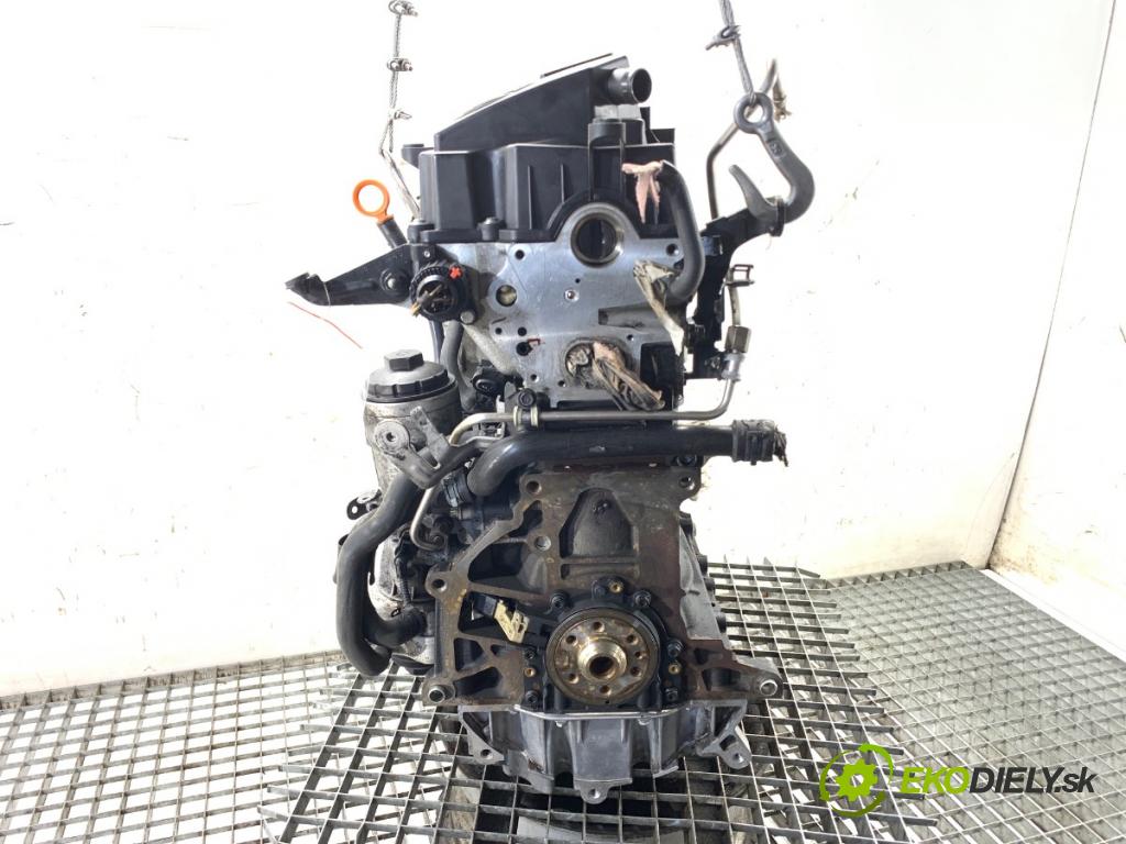 VW PASSAT B6 Kombi 2008 77 kW 1.9 TDI 1896 Motor BLS (Motor)