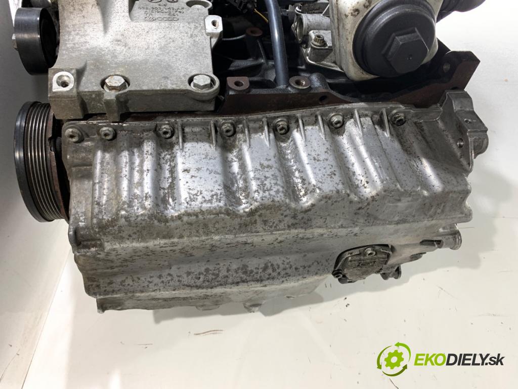 VW PASSAT B6 Kombi 2008 77 kW 1.9 TDI 1896 Motor BLS (Motor)