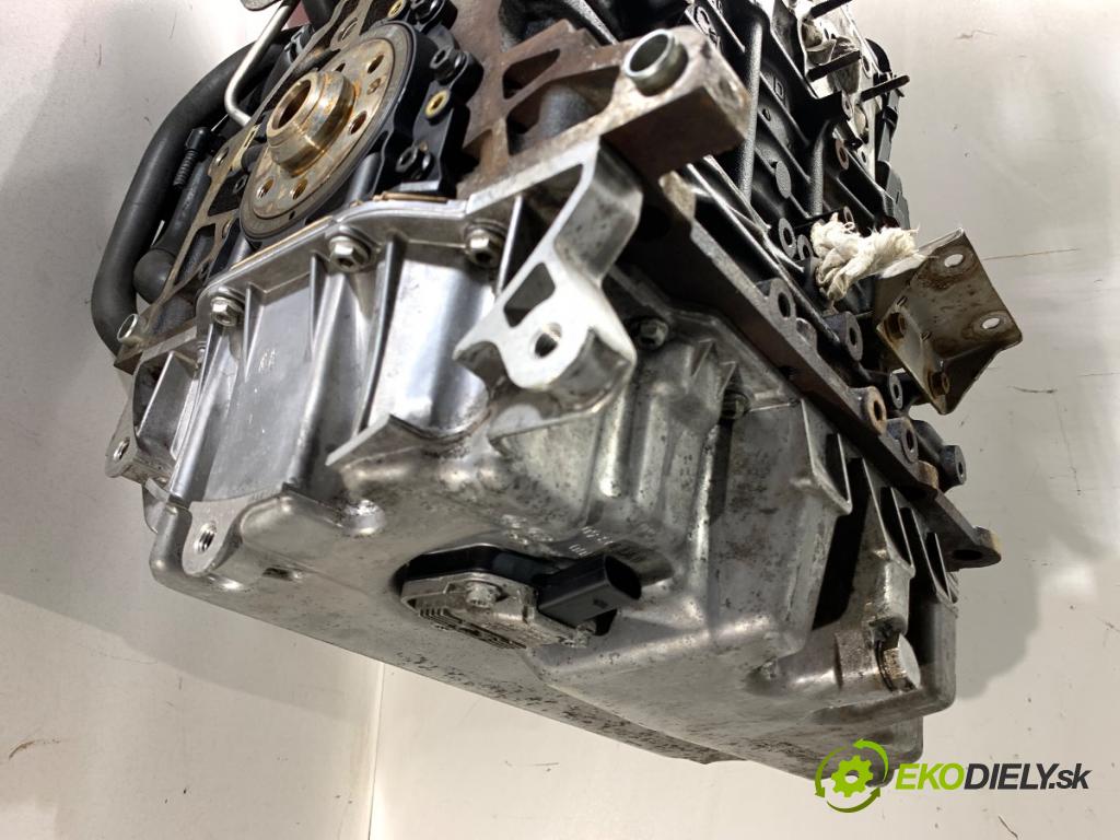 VW PASSAT B6 Kombi 2008 77 kW 1.9 TDI 1896 Motor BLS (Motor)