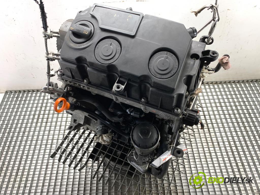 VW PASSAT B6 Kombi 2008 77 kW 1.9 TDI 1896 Motor BLS (Motor)