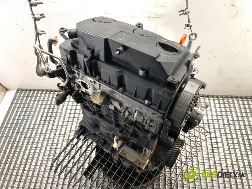 VW PASSAT B6 Kombi 2008 77 kW 1.9 TDI 1896 Motor BLS (Motor)