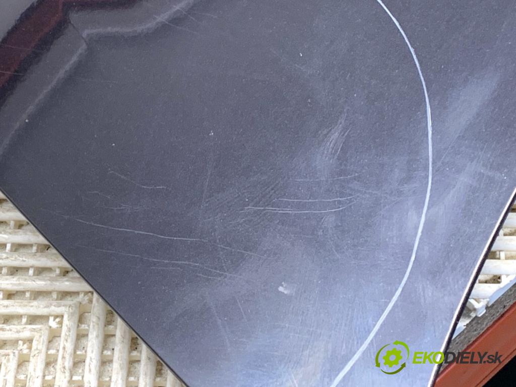 OPEL ZAFIRA B Nadwozie pełne/minivan 2006 110 kW 1.9 CDTI VAN (M75) 1910 kapota  (Kapoty)