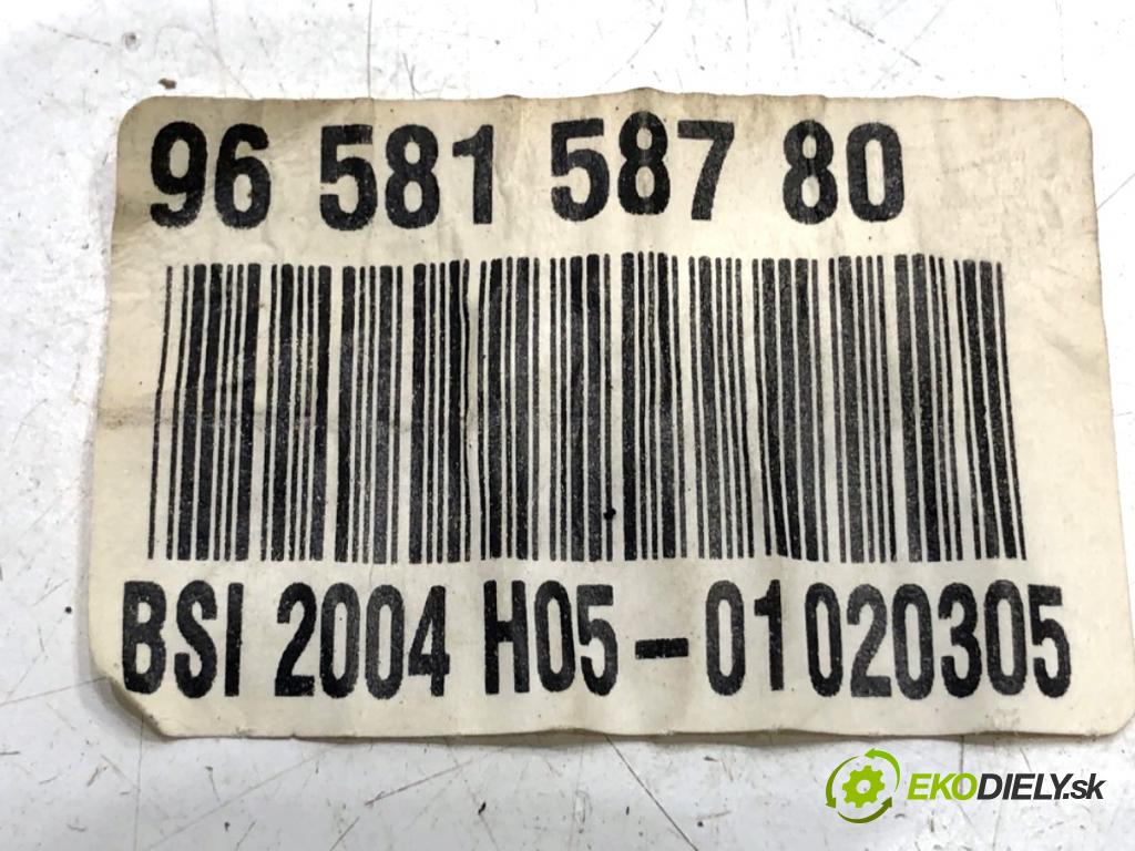 CITROEN C5 II liftback 2005 103 kW 2.0 16V (RCRFJB, RCRFJC) 1997 modul BSI 9658158780 (Pojistkové skříňky)