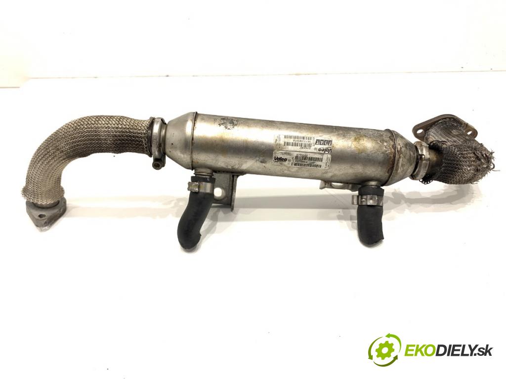 FIAT BRAVO II liftback 2007 110 kW 1.9 D Multijet (198AXC1B) 1910 Chladič EGR 874236F