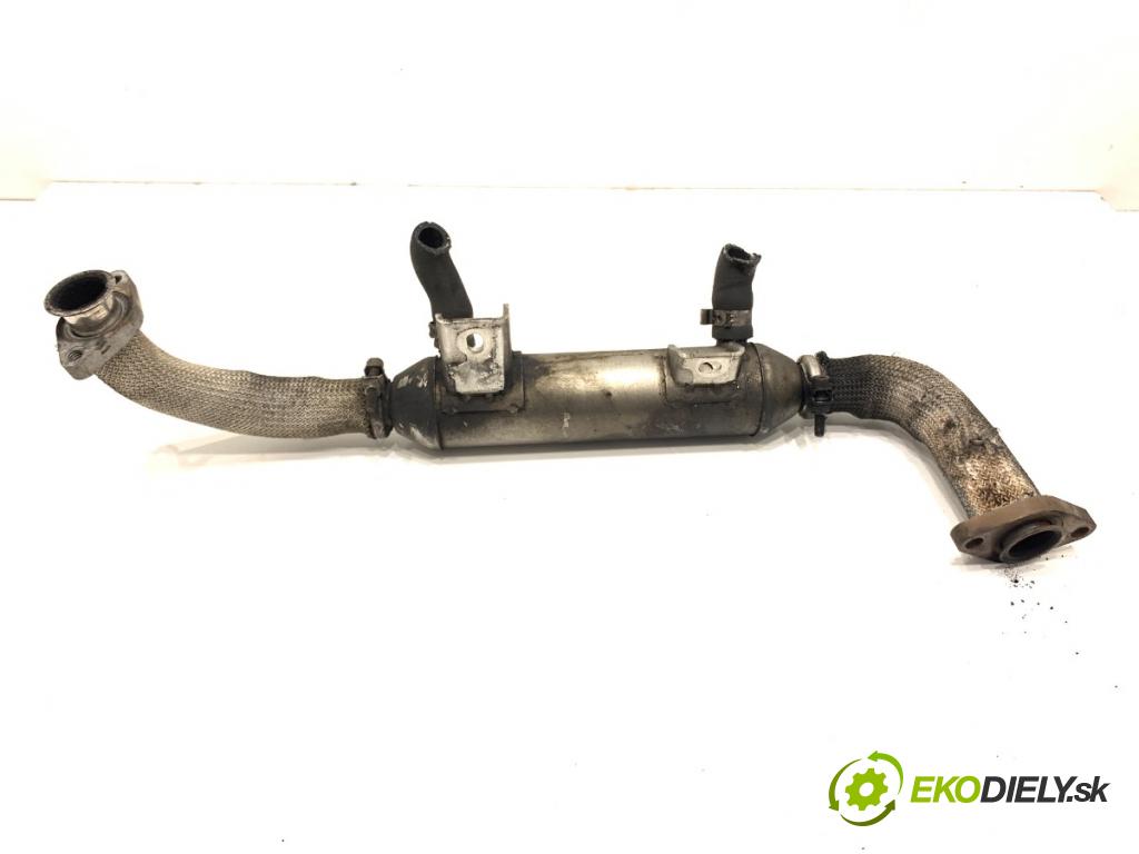 FIAT BRAVO II liftback 2007 110 kW 1.9 D Multijet (198AXC1B) 1910 Chladič EGR 874236F