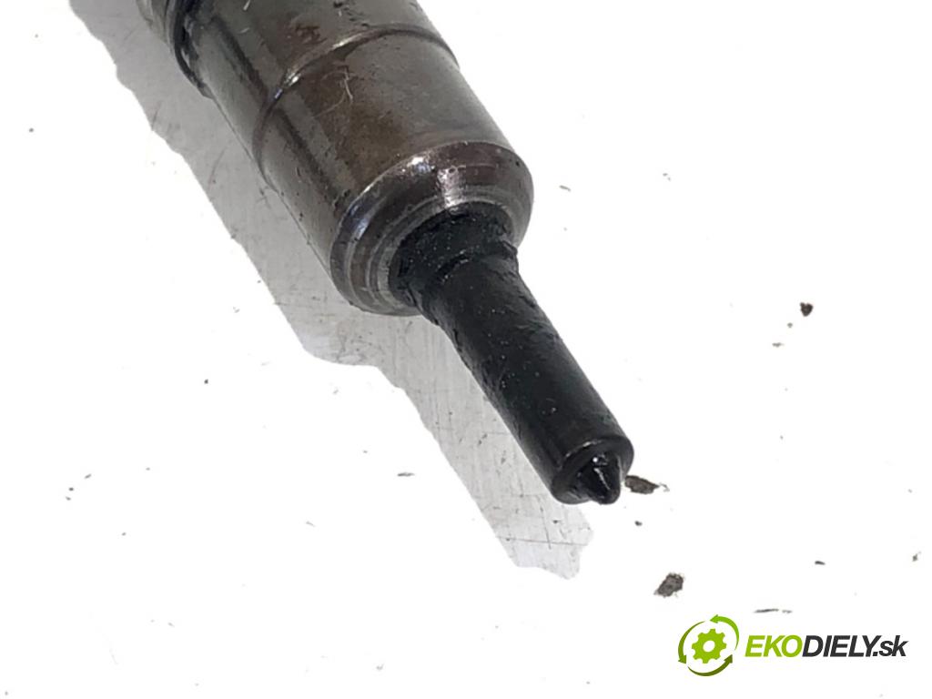 VW GOLF V liftback 2003 103 kW 2.0 TDI 1968 Vstrekovač 03G130073B (Vstrekovač paliva)