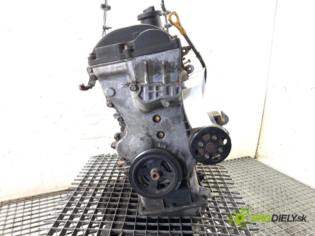 HYUNDAI i20 liftback 2009 57 kW 1.2 1248 Motor G4LA (Motor)