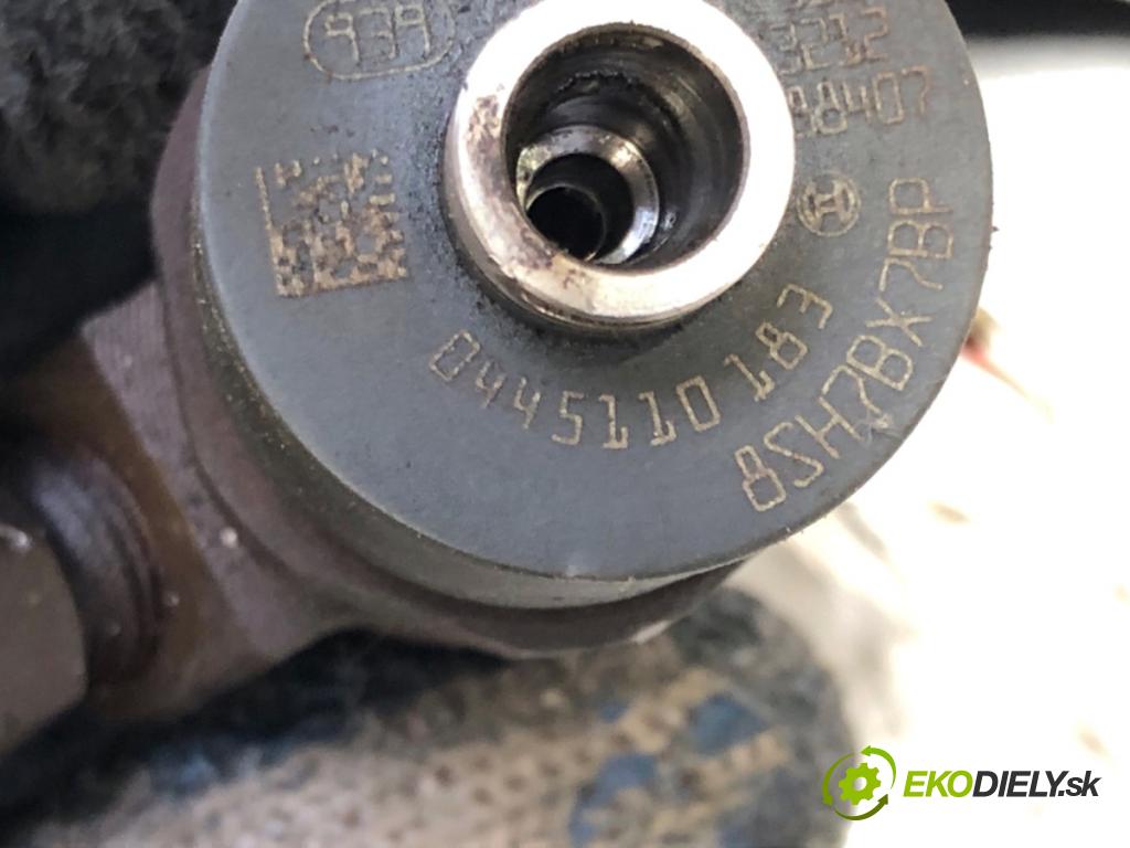 OPEL CORSA D liftback 2008 55 kW 1.3 CDTI (L08, L68) 1248 vstrekovač 0445110183 (Vstrekovač paliva)