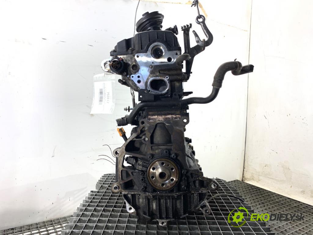 VW GOLF V liftback 2007 77 kW 1.9 TDI 1896 motor BXE (Motor)