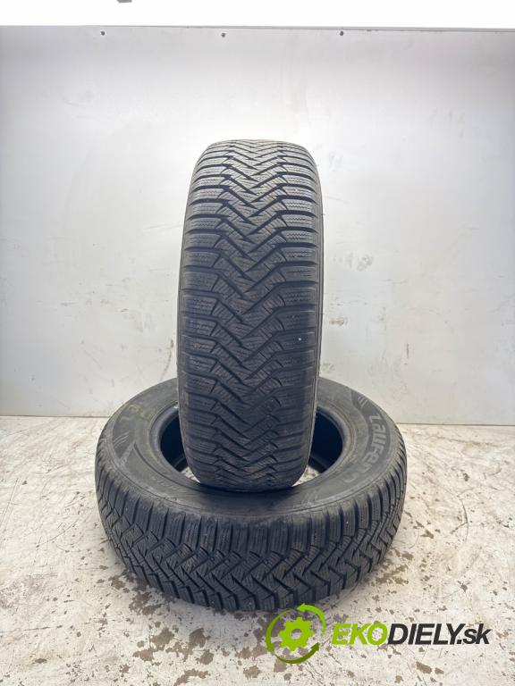--- ---      PNEUMATIKY: zima 2X 195/65 15