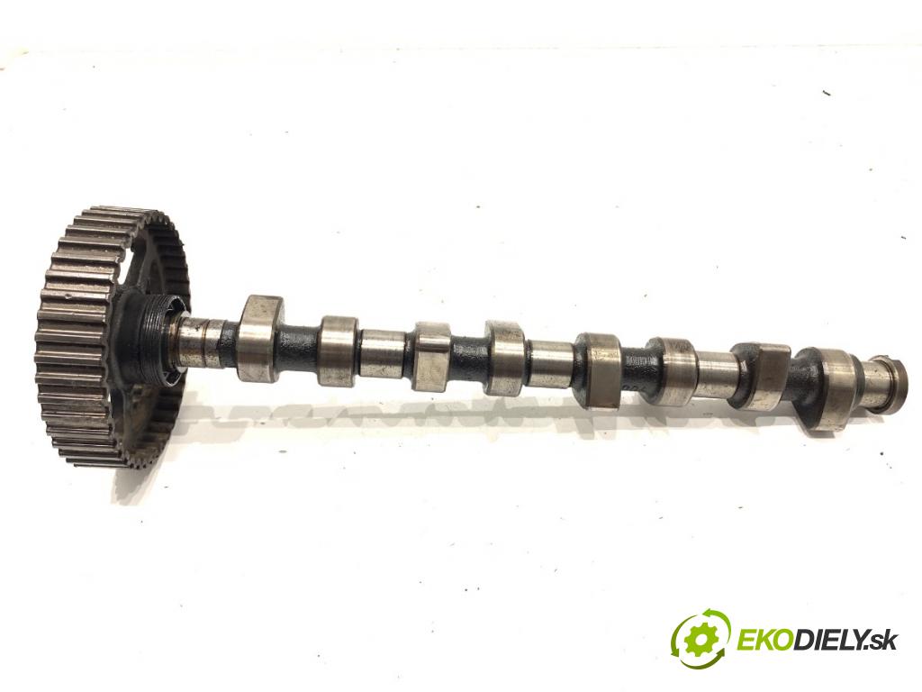 VW GOLF IV liftback 2003 50 kW 1.9 SDI 1896 vačka (vačkový hriadeľ)  (Vačkový hriadeľ)