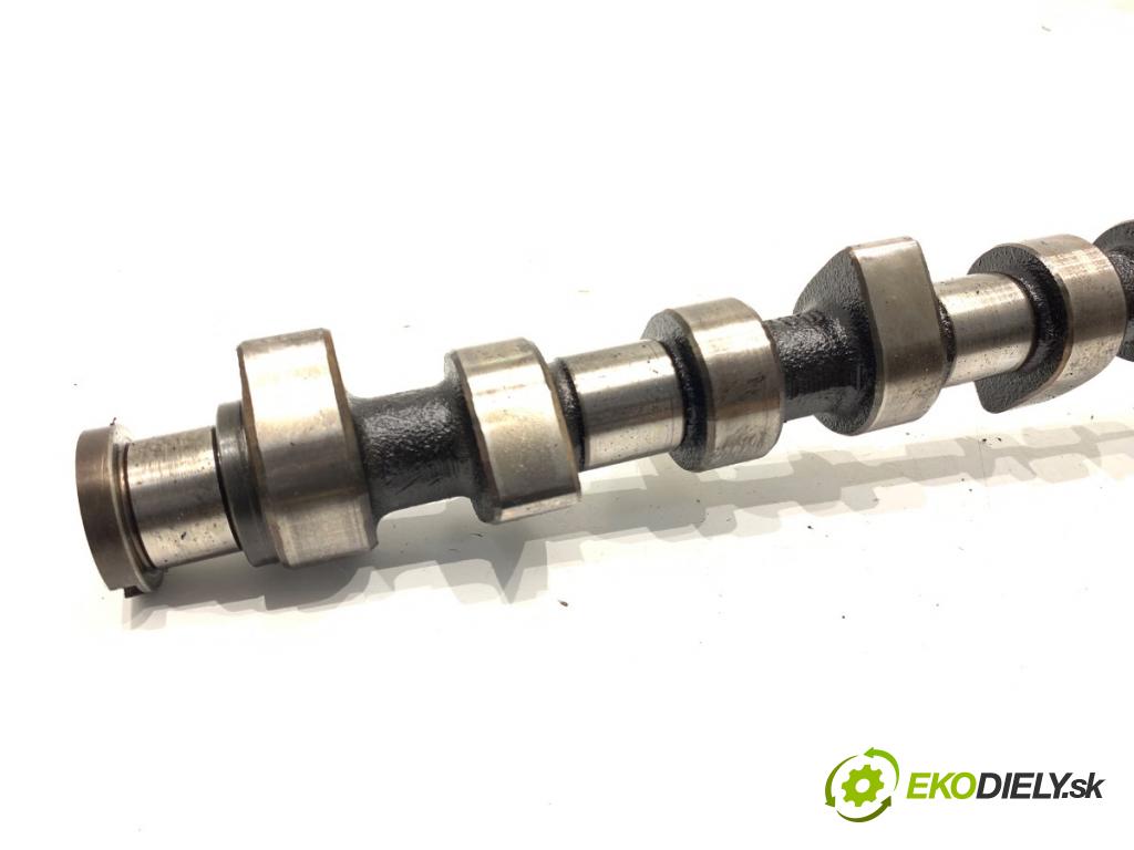 VW GOLF IV liftback 2003 50 kW 1.9 SDI 1896 vačka (vačkový hriadeľ)  (Vačkový hriadeľ)