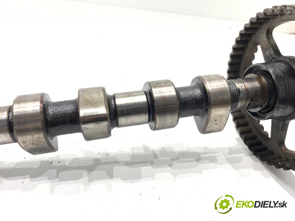 VW GOLF IV liftback 2003 50 kW 1.9 SDI 1896 vačka (vačkový hriadeľ)  (Vačkový hriadeľ)